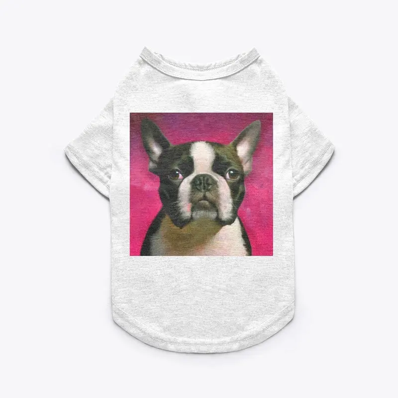 Magenta Renaissance: Boston Terrier