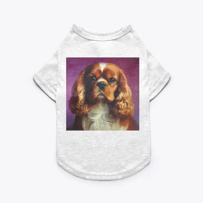 Magenta: Cavalier King Charles Spaniel