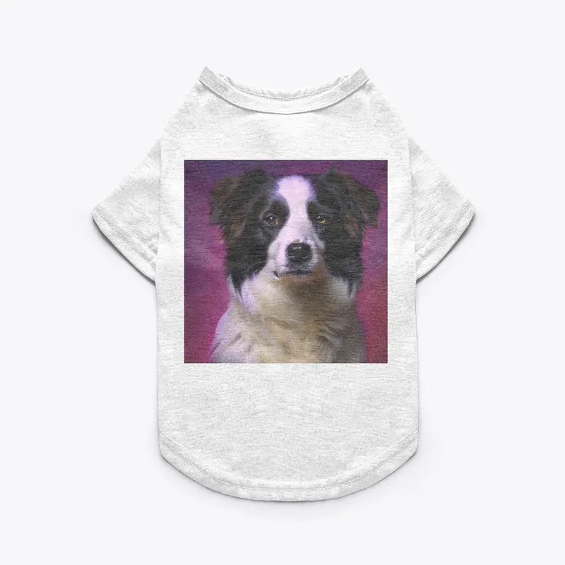 Magenta Renaissance: Border Collie